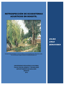 Retrospección De Ecosistemas Acuáticos En Bogotá