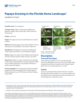Papaya Growing in the Florida Home Landscape1 Jonathan H