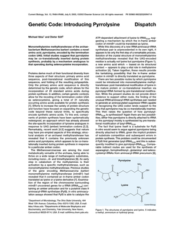 Genetic Code: Introducing Pyrrolysine Dispatch