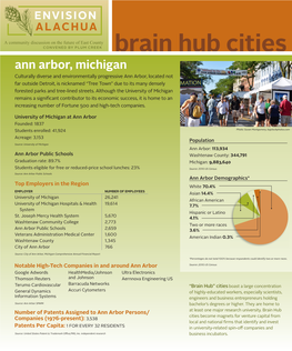 "Brain Hub" Cities