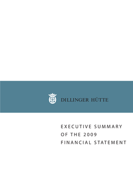 Executive Summary of the 2009 Financial Statement