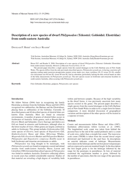 Description of a New Species of Dwarf Philypnodon (Teleostei: Gobioidei: Eleotridae) from South-Eastern Australia