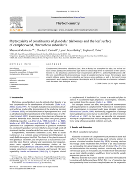 Phytotoxicity of Constituents of Glandular Trichomes and the Leaf Surface of Camphorweed, Heterotheca Subaxillaris