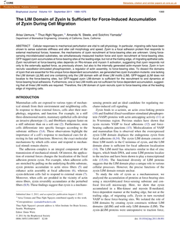 The LIM Domain of Zyxin Is Sufficient for Force-Induced Accumulation Of