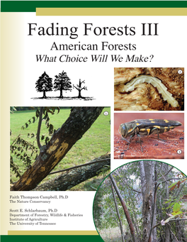 Fading Forests III: American Forests: What Choice Will We Make