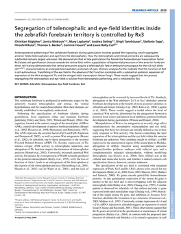 Segregation of Telencephalic and Eye-Field Identities Inside The