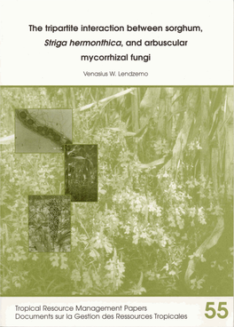 The Tripartite Interaction Between Sorghum, Striga Hermonthica, and Arbuscular Mycorrhizal Fungi