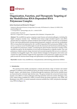 Organization, Function, and Therapeutic Targeting of the Morbillivirus RNA-Dependent RNA Polymerase Complex
