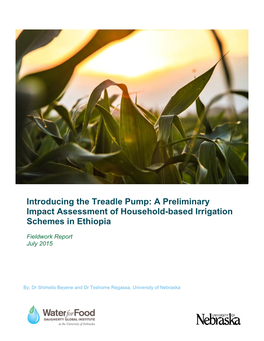 Introducing the Treadle Pump: a Preliminary Impact Assessment of Household-Based Irrigation Schemes in Ethiopia