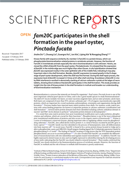 Fam20c Participates in the Shell Formation in the Pearl Oyster, Pinctada Fucata