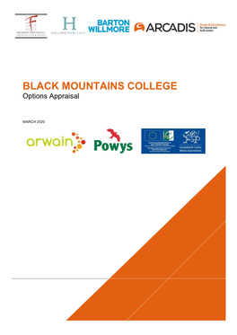 BLACK MOUNTAINS COLLEGE Options Appraisal