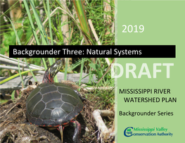 Backgrounder Three: Natural Systems