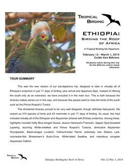 ETHIOPIA: Birding the Roof of Africa