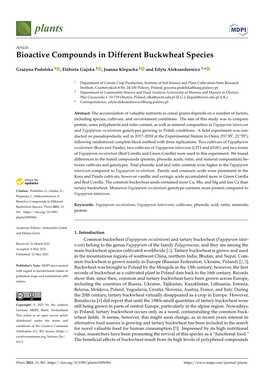 Bioactive Compounds in Different Buckwheat Species