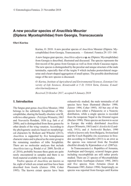 A New Peculiar Species of Anaclileia Meunier (Diptera: Mycetophilidae) from Georgia, Transcaucasia