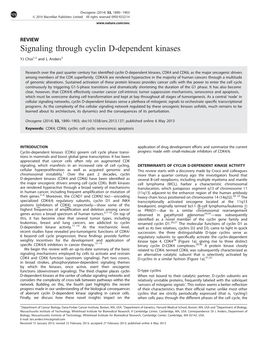 Signaling Through Cyclin D-Dependent Kinases