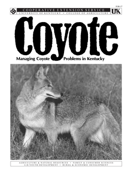 Managing Coyote Problems in Kentucky