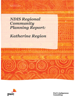NDIS Regional Community Planning Report: Katherine Region