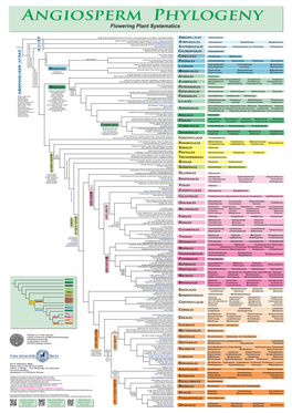 Flowering Plant Systematics