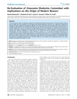 Rodentia: Castoridae) with Implications on the Origin of Modern Beavers