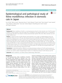 Epidemiological and Pathological Study of Feline Morbillivirus Infection