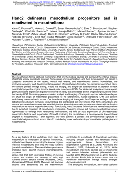 Hand2 Delineates Mesothelium Progenitors and Is Reactivated in Mesothelioma