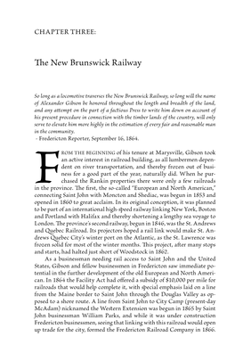 The New Brunswick Railway