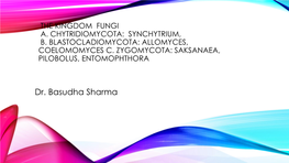 The Kingdom Fungi: A. Chytridiomycota: Synchytrium, B