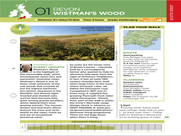 Devon Wistman's Wood