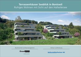 Terrassenhäuser Seeblick in Boniswil Ruhiges Wohnen Mit Sicht Auf Den Hallwilersee