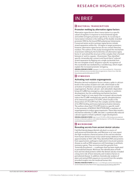 Bacterial Transcription: Promoter Melting by Alternative Sigma Factors