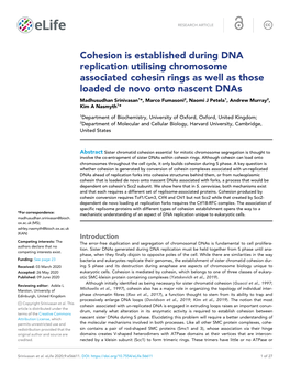 Cohesion Is Established During DNA Replication Utilising Chromosome