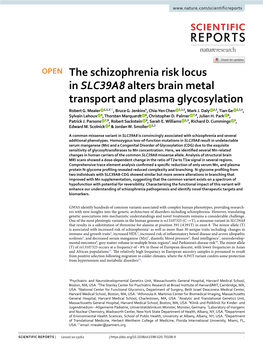 The Schizophrenia Risk Locus in SLC39A8 Alters Brain Metal Transport and Plasma Glycosylation Robert G