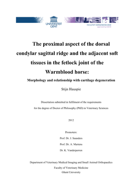 The Proximal Aspect of the Dorsal Condylar Sagittal Ridge and the Adjacent Soft Tissues in the Fetlock Joint of the Warmblood Horse