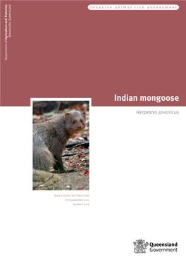 Indian Mongoose Indian Herpestes Javanicus © State of Queensland, 2016