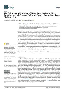 The Culturable Mycobiome of Mesophotic Agelas Oroides: Constituents and Changes Following Sponge Transplantation to Shallow Water