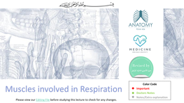 2-Muscles Involved in Respiration.Pdf