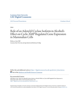 Role of an Adenylyl Cyclase Isoform in Alcohol's Effect on Cyclic AMP