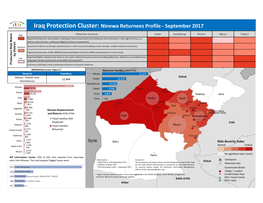 Iraq Protection Cluster: Ninewa Returnees Profile - September 2017