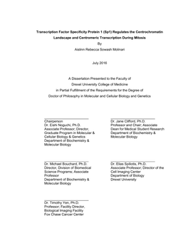 Sp1) Regulates the Centrochromatin Landscape and Centromeric Transcription During Mitosis by Aislinn Rebecca Sowash Molinari