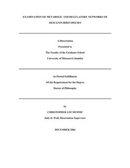 Examination of Metabolic and Regulatory Networks Of