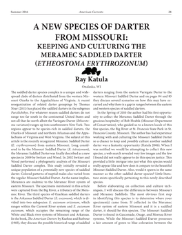 A New Species of Darter from Missouri: Keeping and Culturing the Meramec Saddled Darter (Etheostoma Erythrozonum)