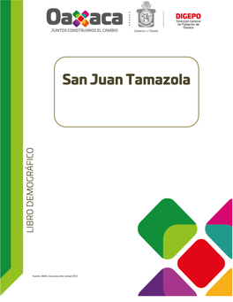 San Juan Tamazola Región