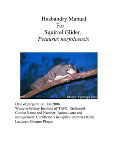 Husbandry Manual for Squirrel Glider