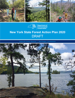 Draft New York State Forest Action Plan
