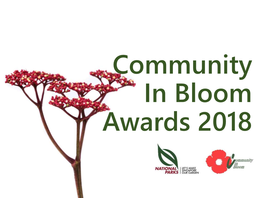 Community in Bloom Awards 2018 Community in Bloom