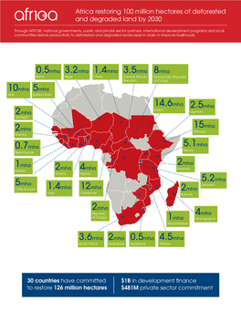 AFR100 Infographics