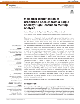 Molecular Identification of Broomrape Species from a Single Seed By