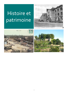 Histoire Et Patrimoine De Briey Téléchargement 364.51 Ko