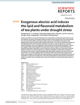 Exogenous Abscisic Acid Induces the Lipid and Flavonoid Metabolism of Tea Plants Under Drought Stress
